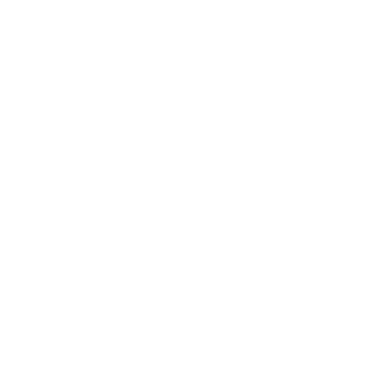 data science mentoring logo: mentoring-club